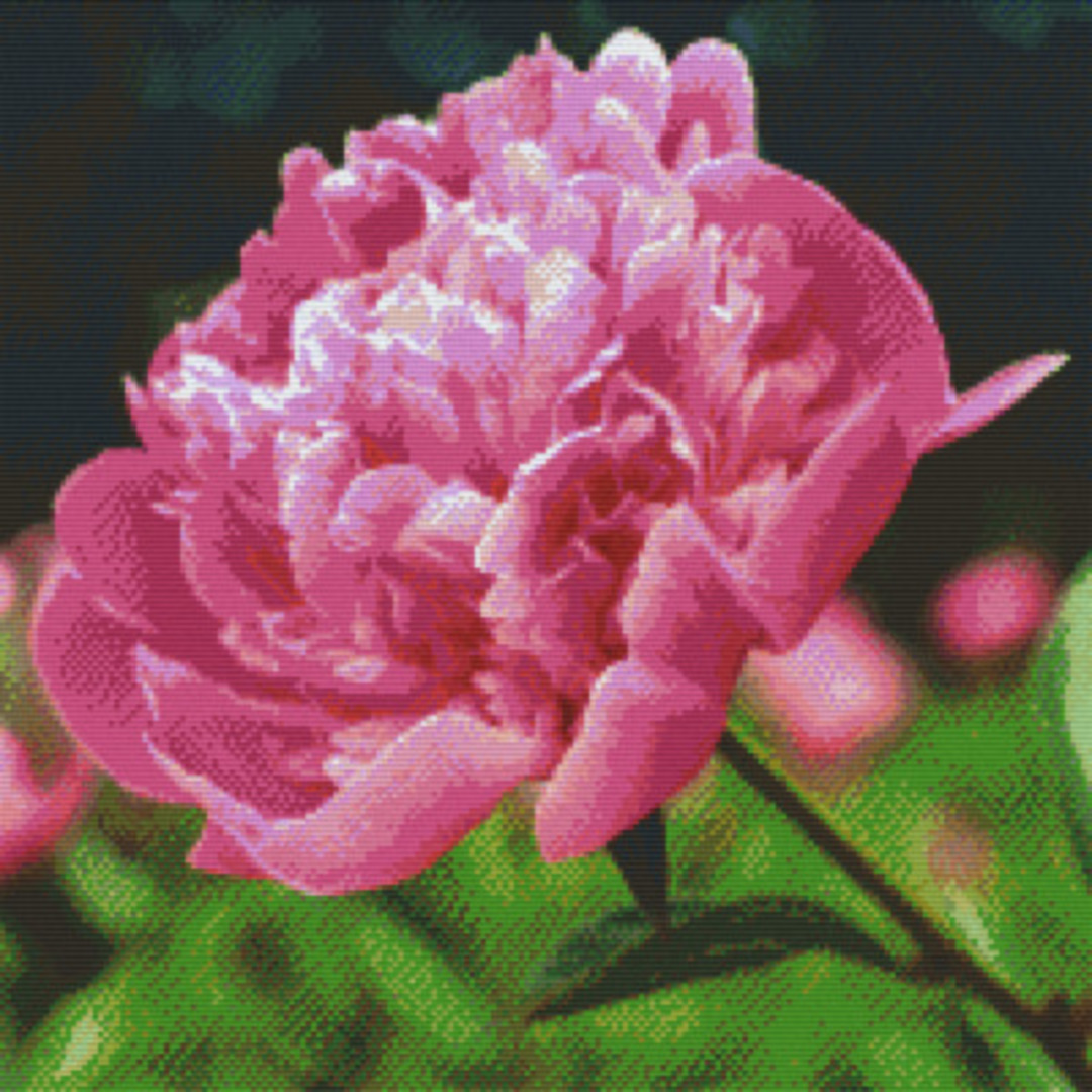 Roses Twenty [20] Baseplate PixelHobby Mini-mosaic Art Kit image 0